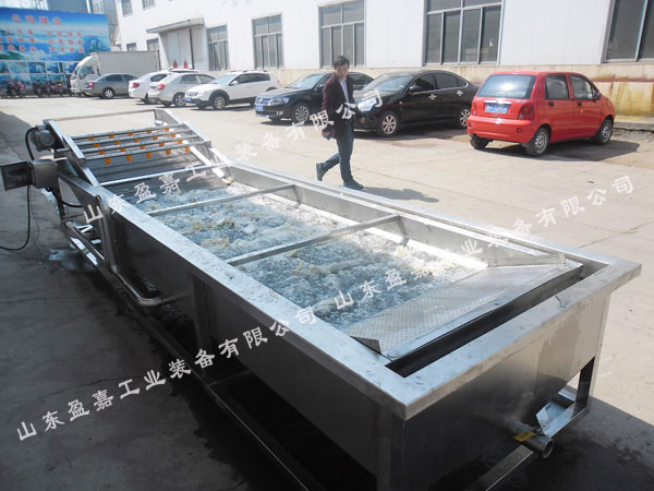 盈嘉全自動(dòng)氣泡蔬菜清洗機(jī)